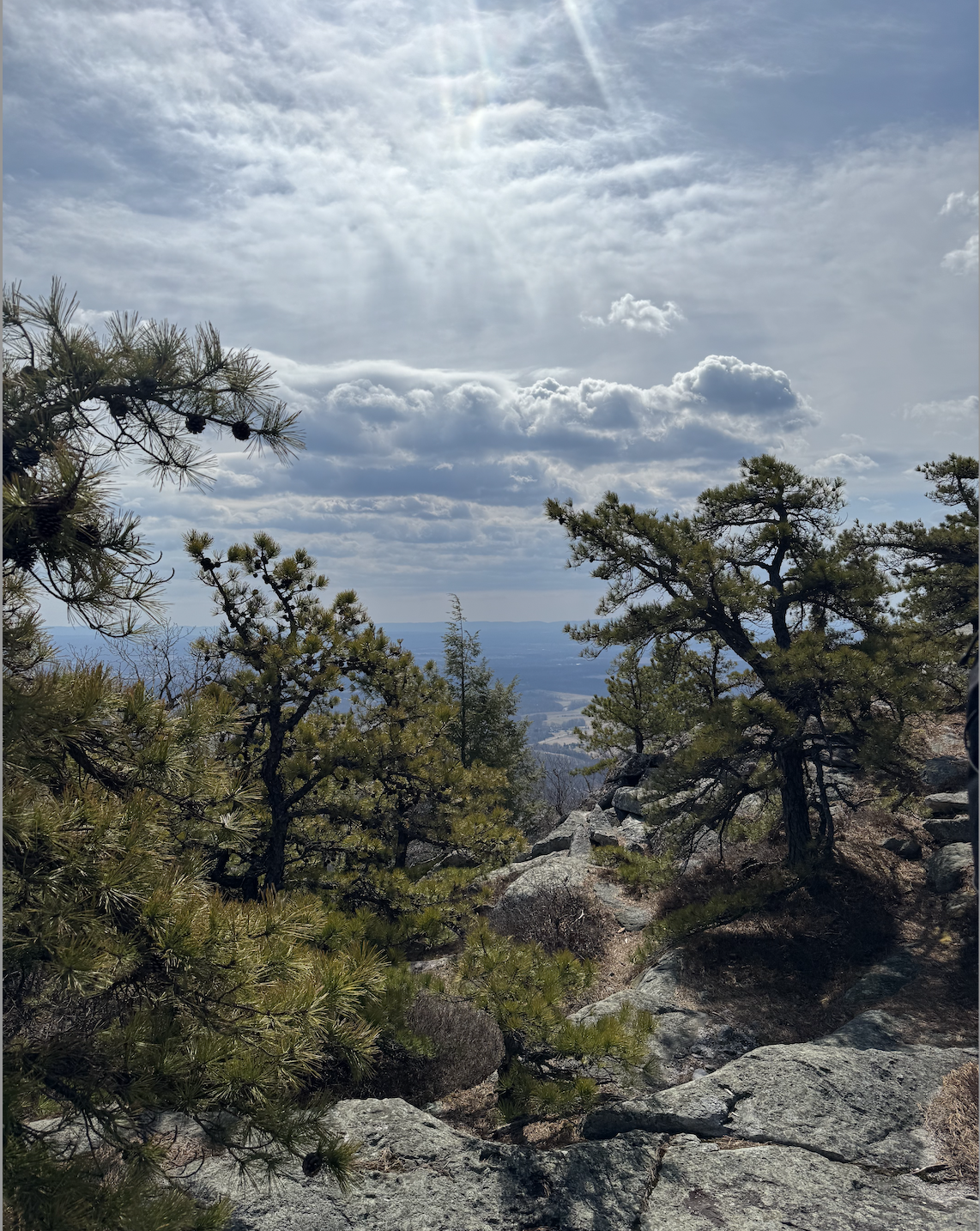 Hiking