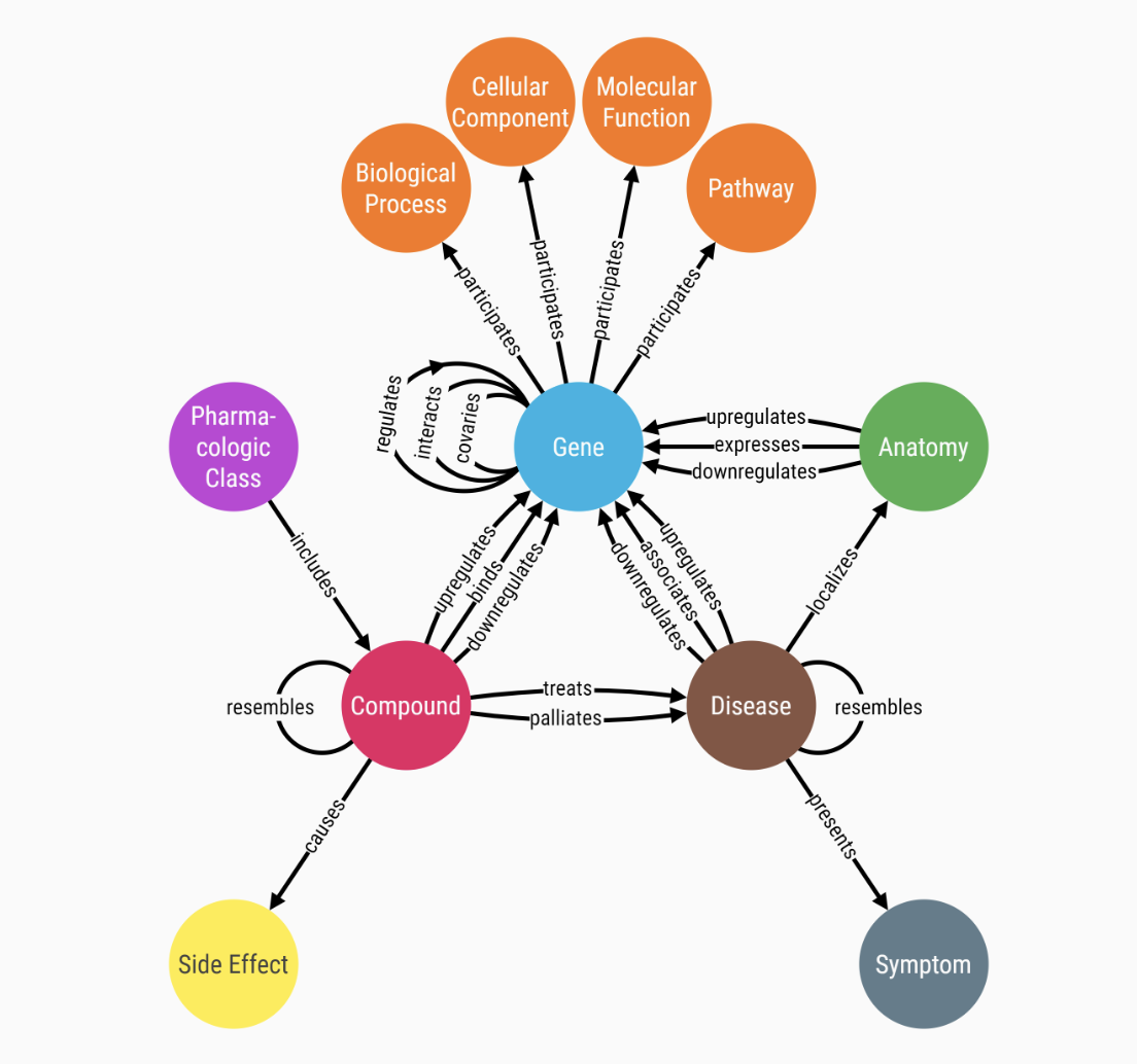 Drug-Gene Relationship Analyzer